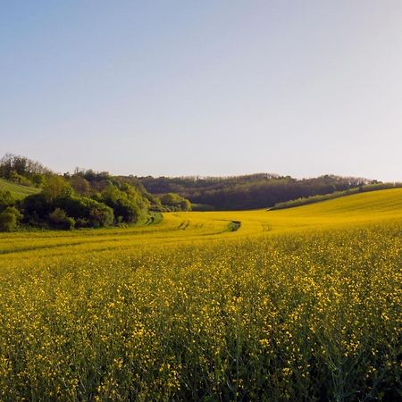 Heroke Vendeghaz Terény Exteriér fotografie