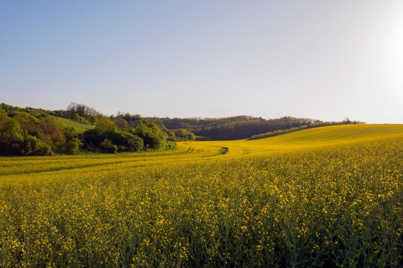 Heroke Vendeghaz Terény Exteriér fotografie